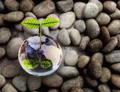 Environmentally Friendly Shutterstock 2004139322 Resized