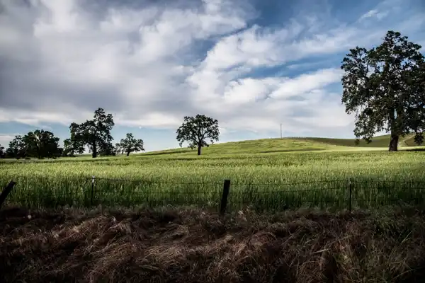 Templeton Shutterstock 650987962 Resized
